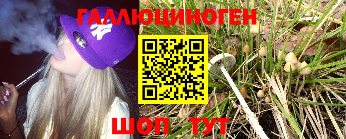Галлюциногенные грибы Psilocybine cubensis  Вход с VPN  Сургут 